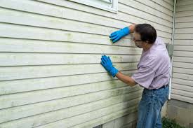 Affordable Siding Repair and Maintenance Services in Pensacola, FL